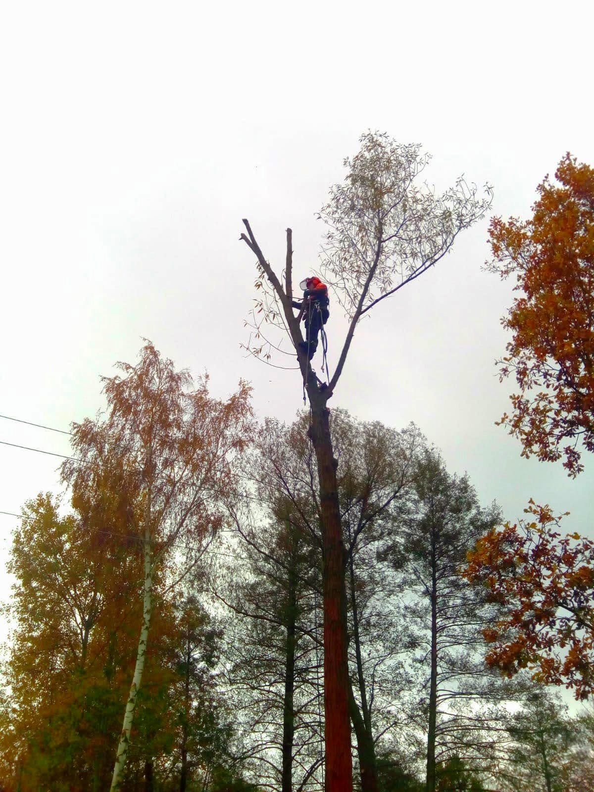 IMG-20201103-WA0031