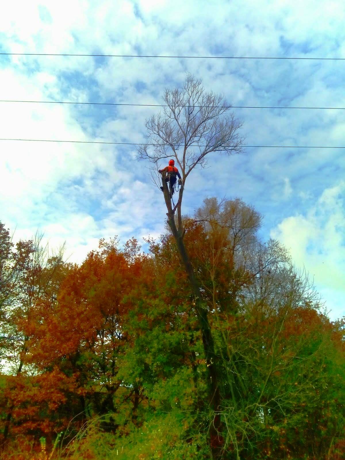 IMG-20201104-WA0021
