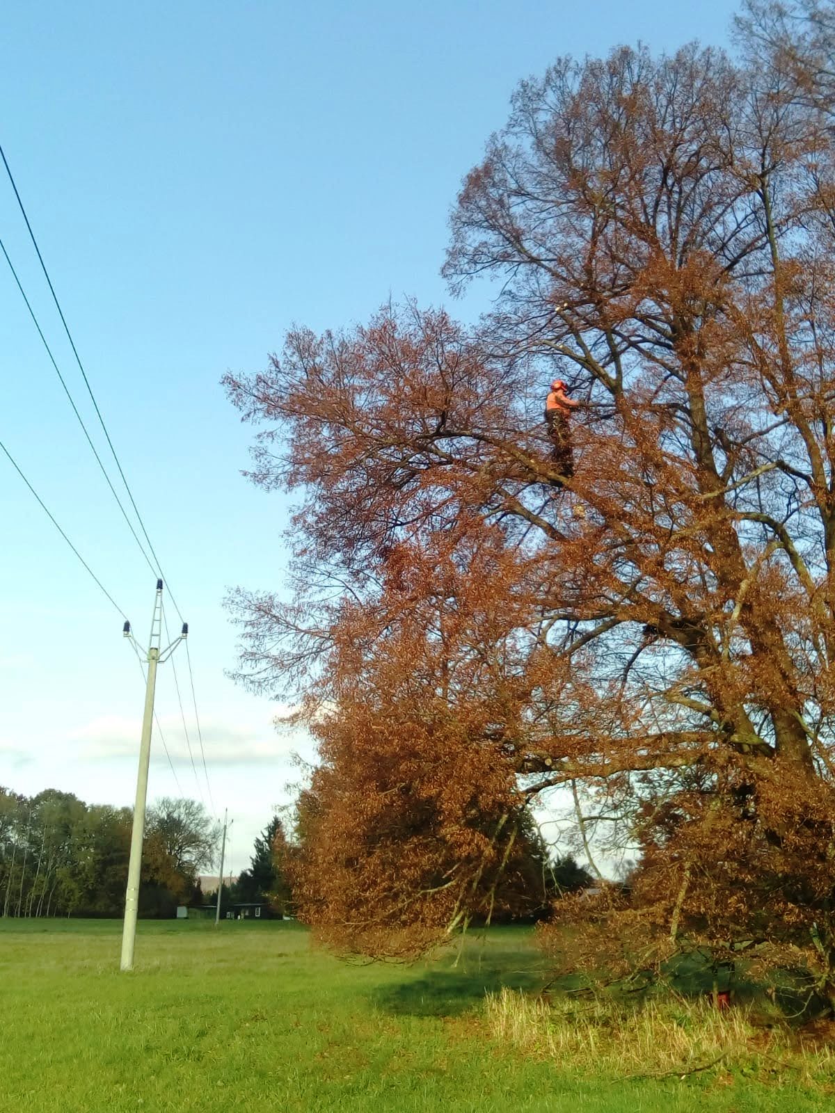 IMG-20201105-WA0022