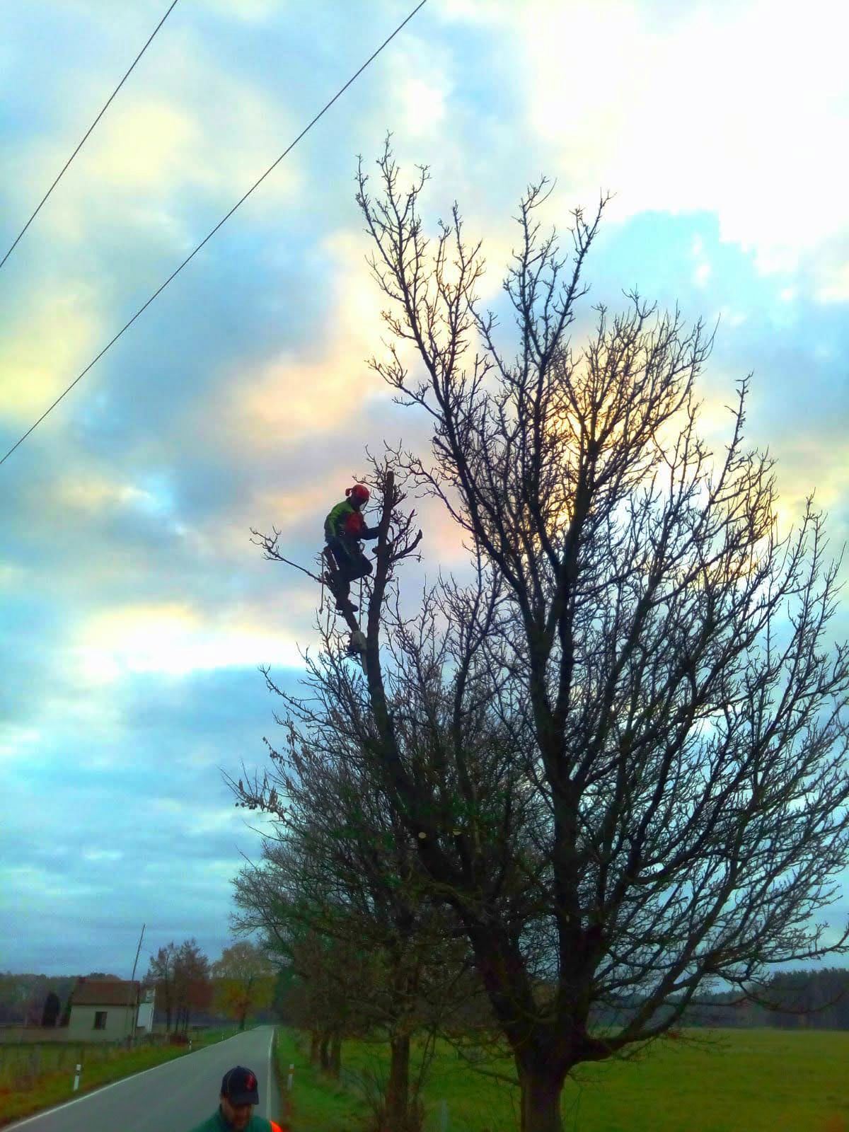 IMG-20201119-WA0000