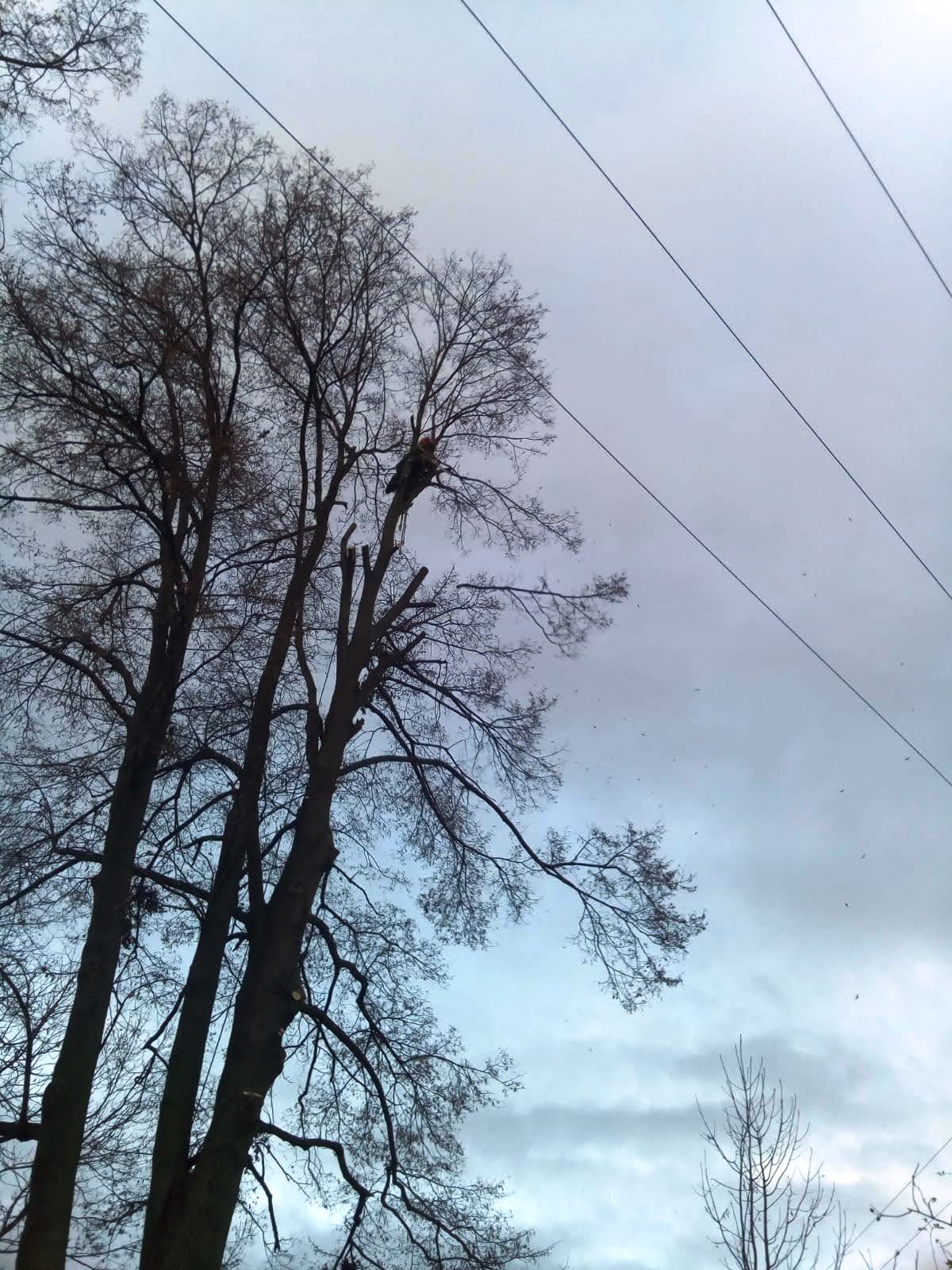 IMG-20201129-WA0003