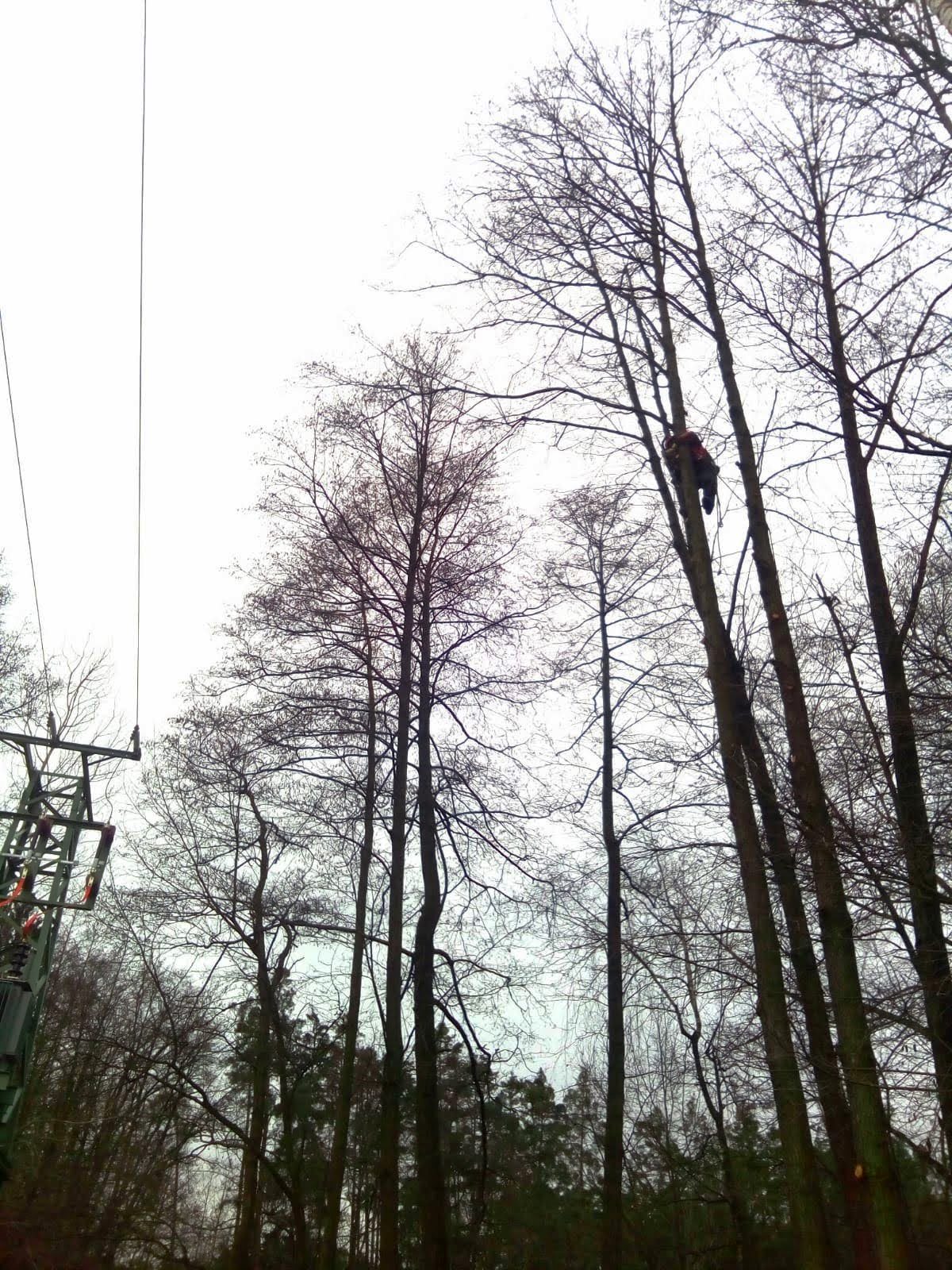 IMG-20201209-WA0045