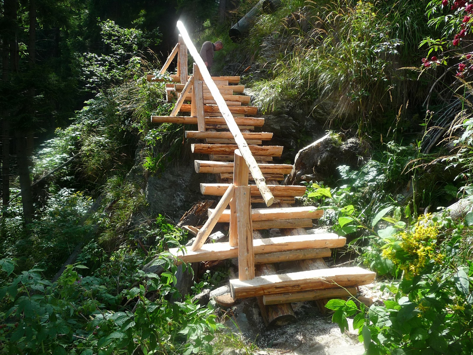 P1090049